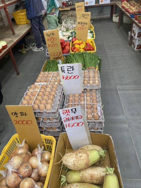 중앙과일야채 이미지