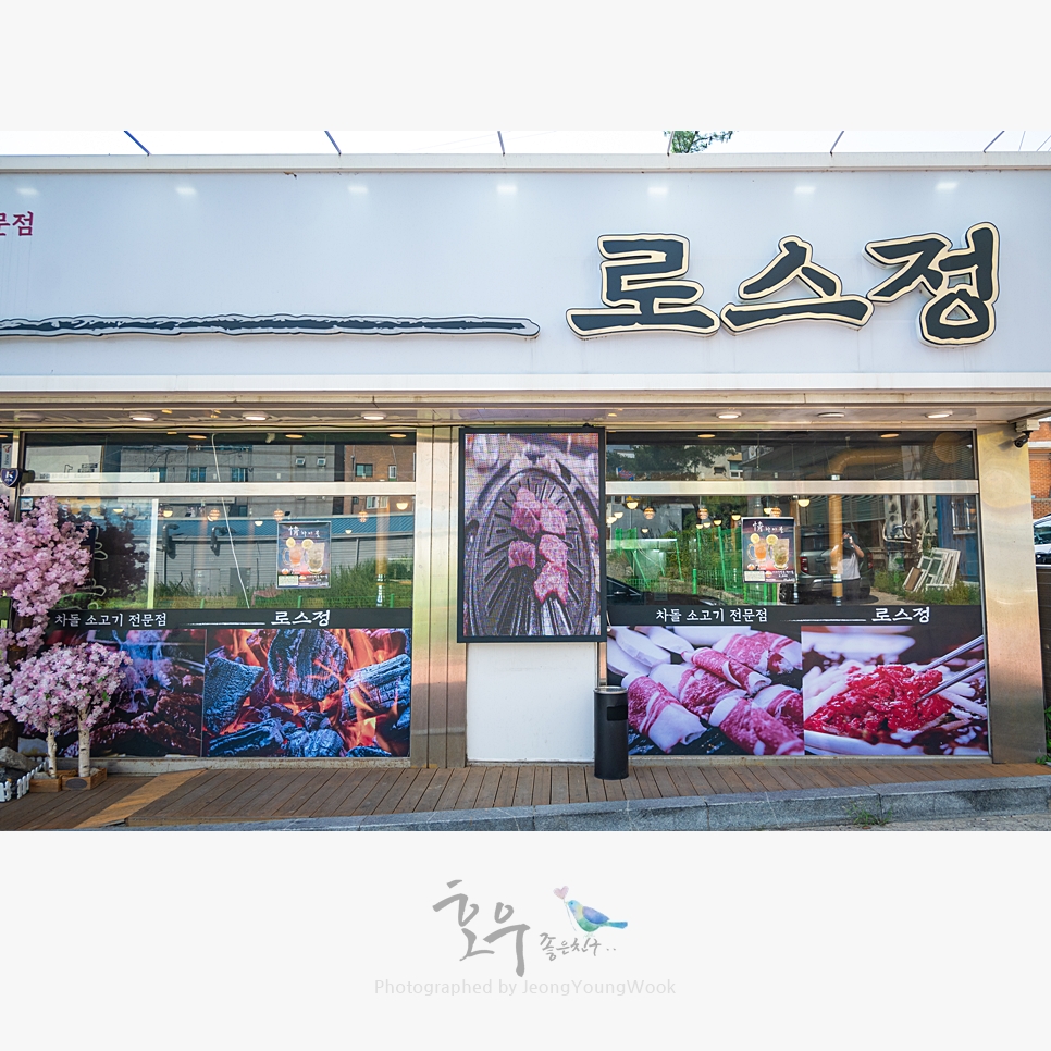 로스정 이미지