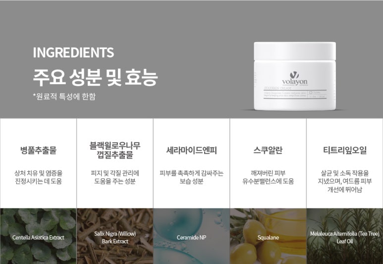 진스토랑 이미지