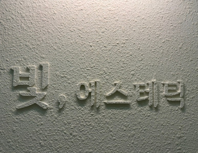 효소체형관리 이미지