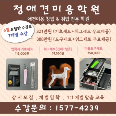 포항애견미용학원 이미지