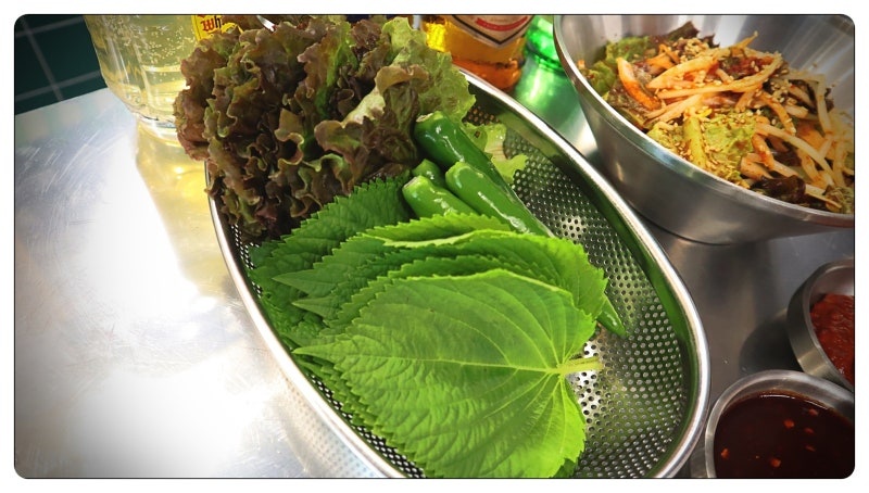 참고기 이미지