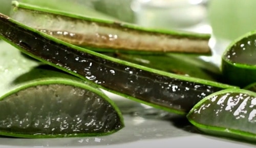 그린블루(GREENBLUE) 이미지