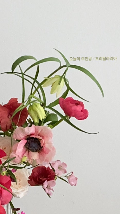 핏어팟(Pit A Pat) 이미지