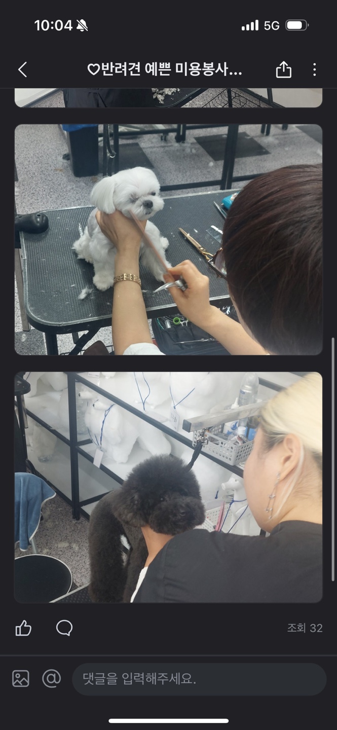 강남 애견미용학원 무료 미용 후기 및 신청 방법 — 사진 2