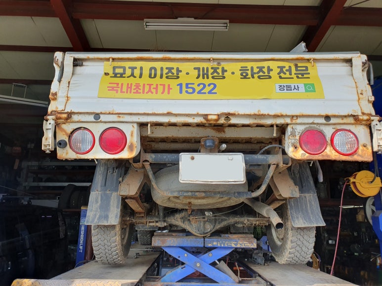 프로카센타 이미지