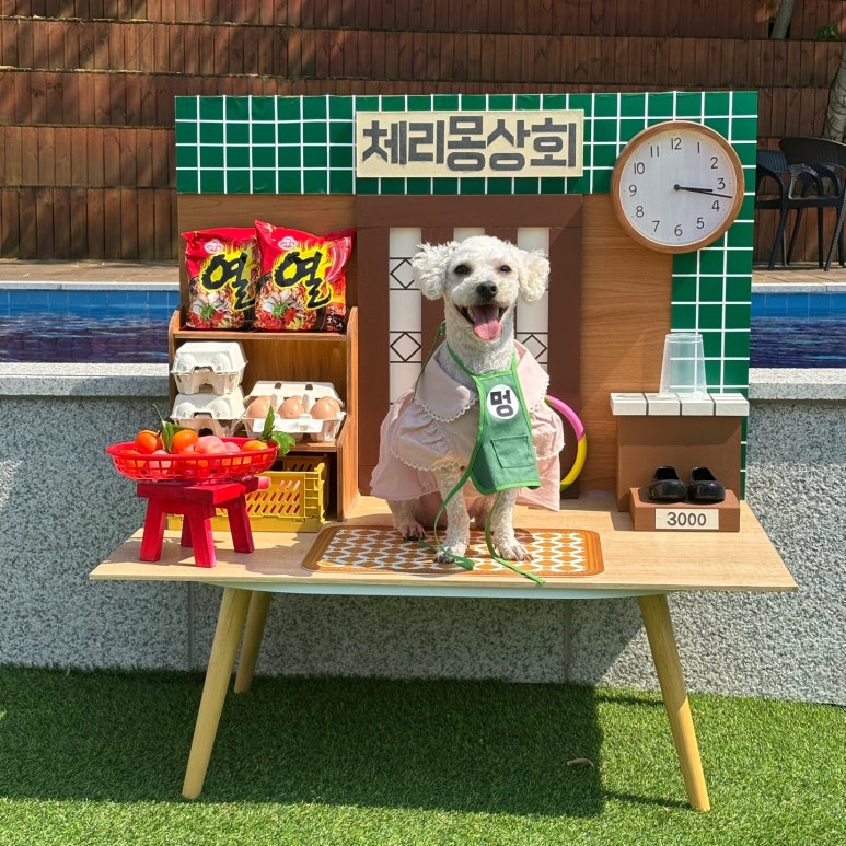 체리몽애견풀빌라 이미지