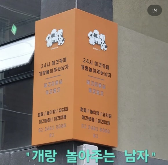 개랑 놀아주는 남자 이미지