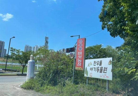 찬우물버섯농장 이미지