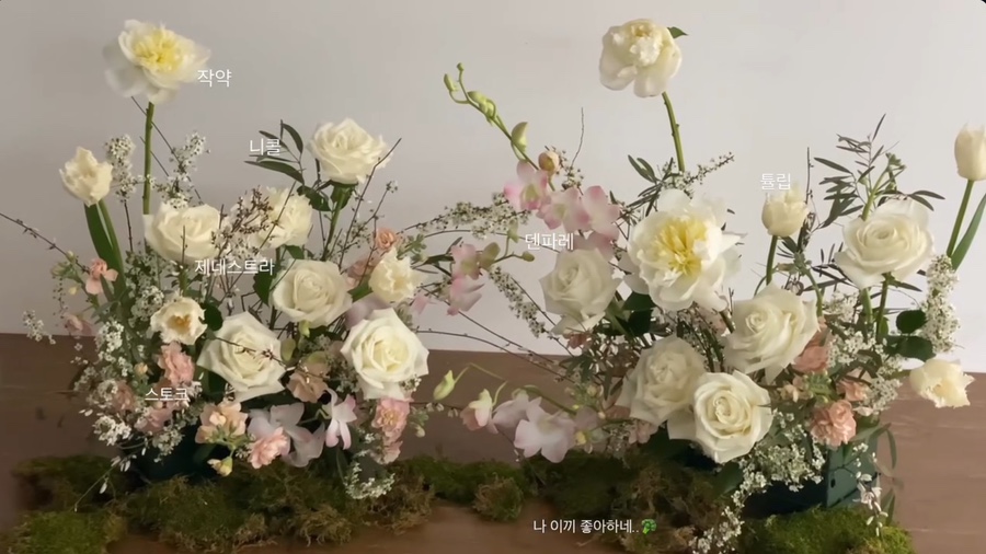핏어팟(Pit A Pat) 이미지