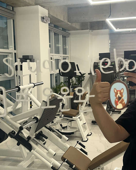 리본짐 이미지