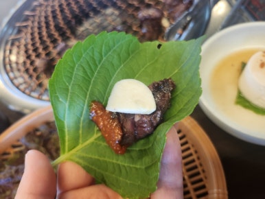 싱싱목장 이미지