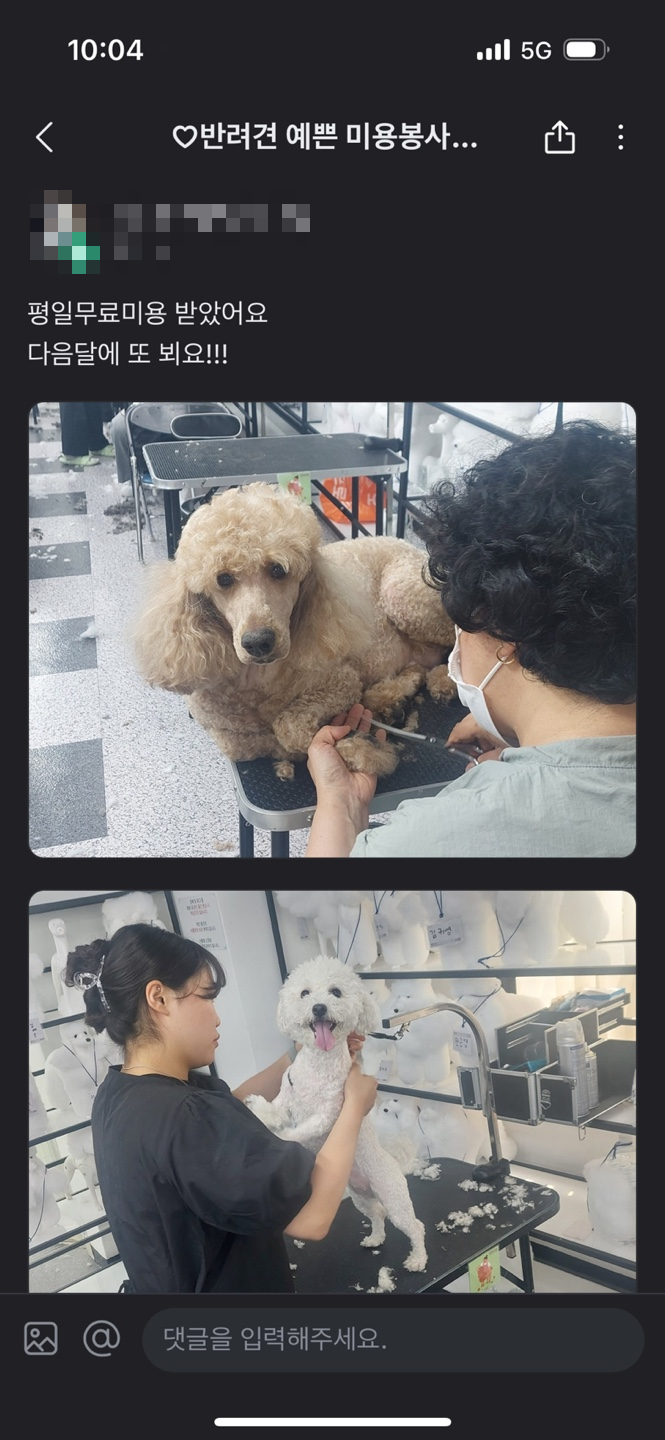 강남 애견미용학원 무료 미용 후기 및 신청 방법 — 사진 3