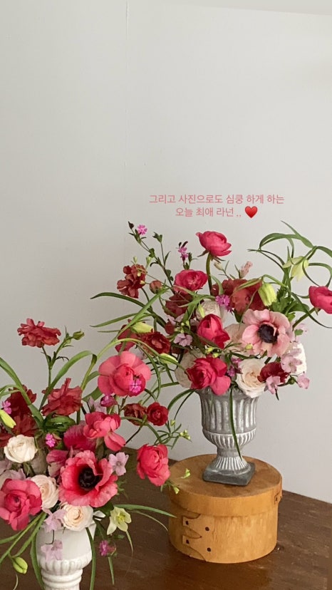 핏어팟(Pit A Pat) 이미지
