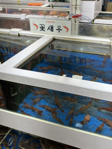 거평패밀리 이미지