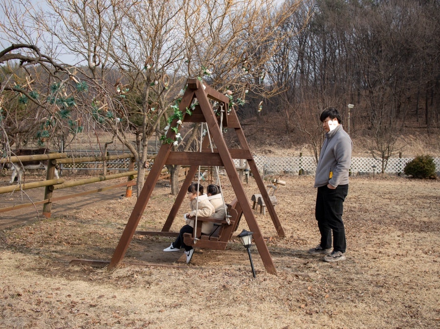 당나귀를부탁해 이미지