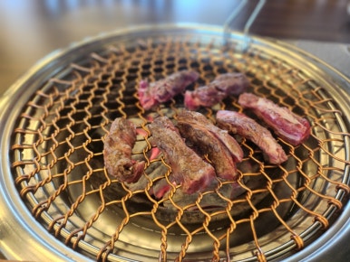 싱싱목장 이미지