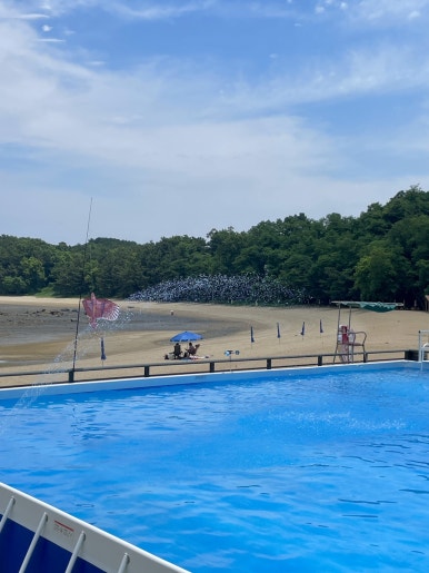 Sinshimodo Pension Poolside