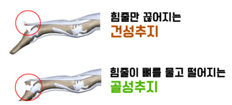 서울연세의원 이미지