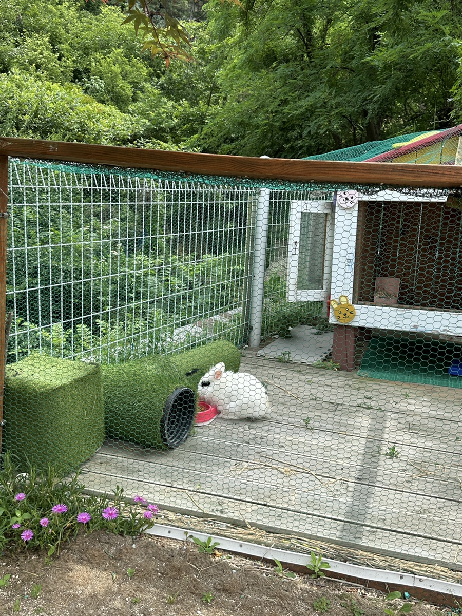 자람동산 이미지