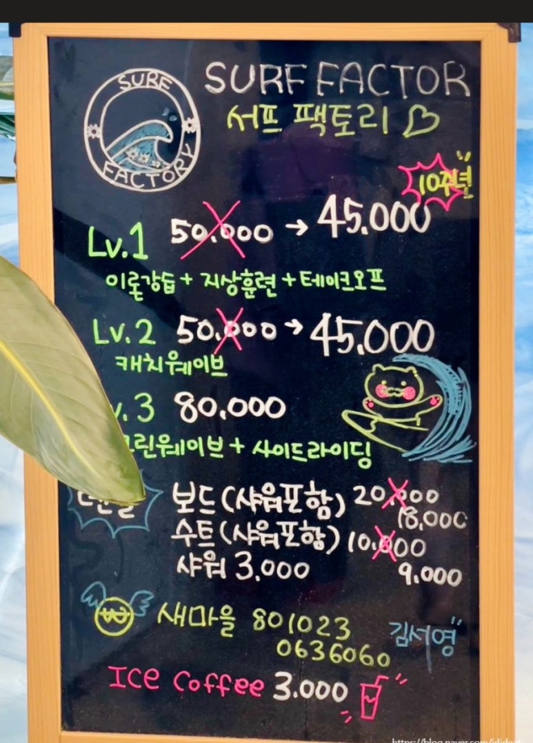 서프팩토리 이미지