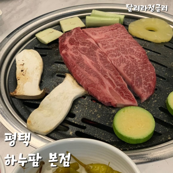 하누팜 이미지