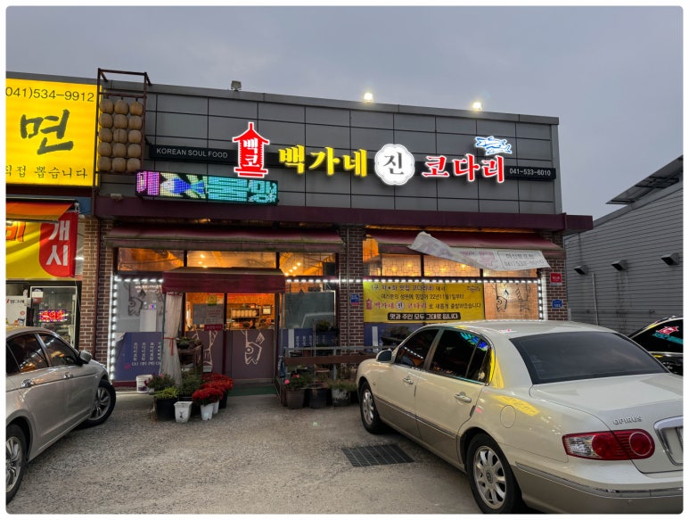 코다리와친구들 이미지