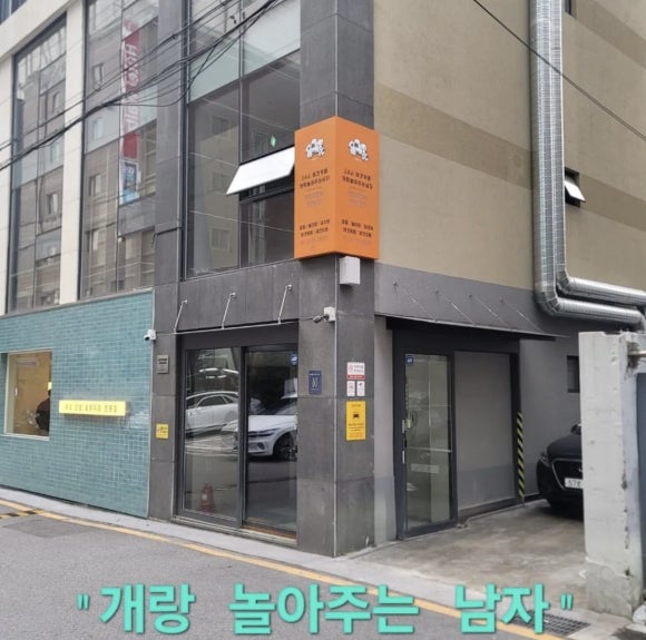 개랑 놀아주는 남자 이미지