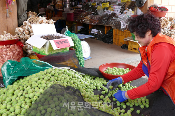 안중장 이미지