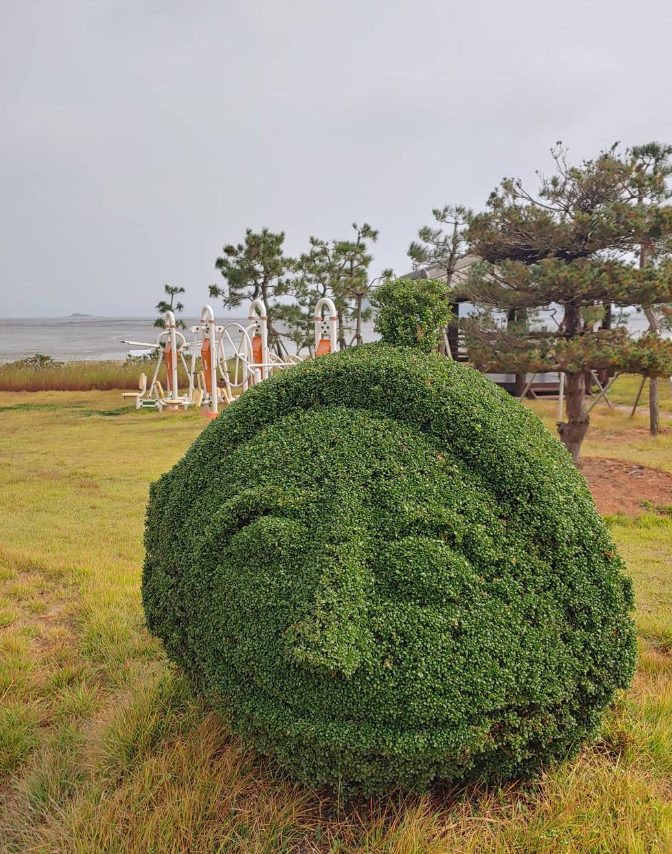 바우토피아 이미지