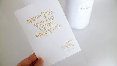 세탁쏘 이미지