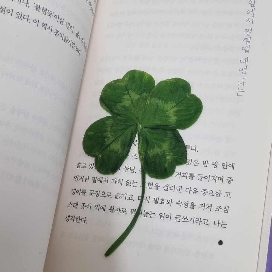 피자투어청전점 이미지