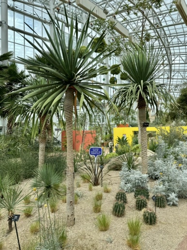 Ilwol Arboretum Exhibition Greenhouse