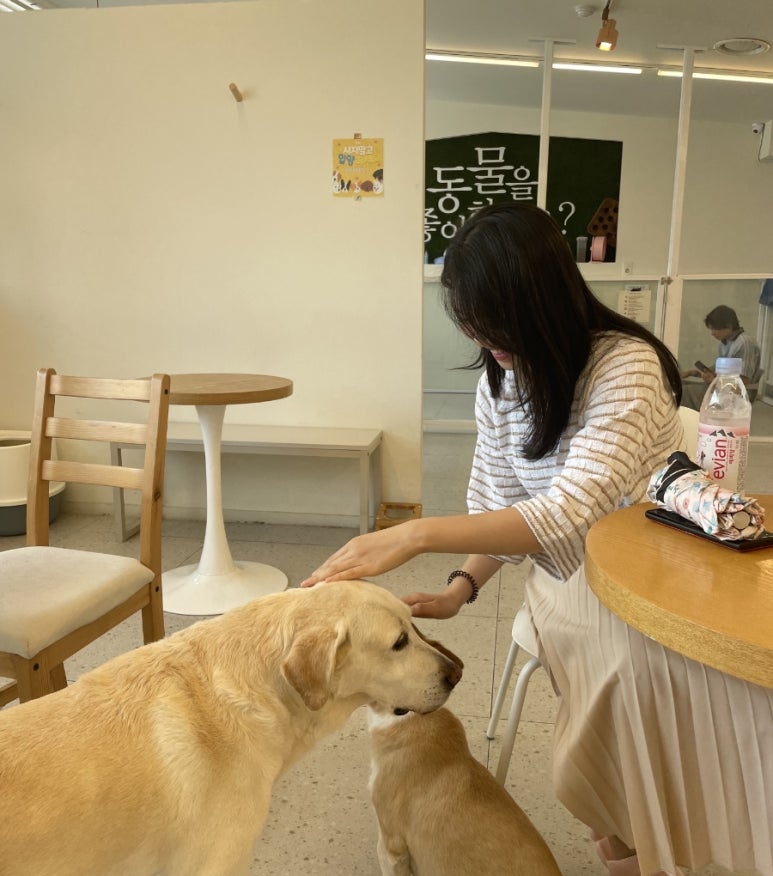 리코스타코인노래연습장 이미지