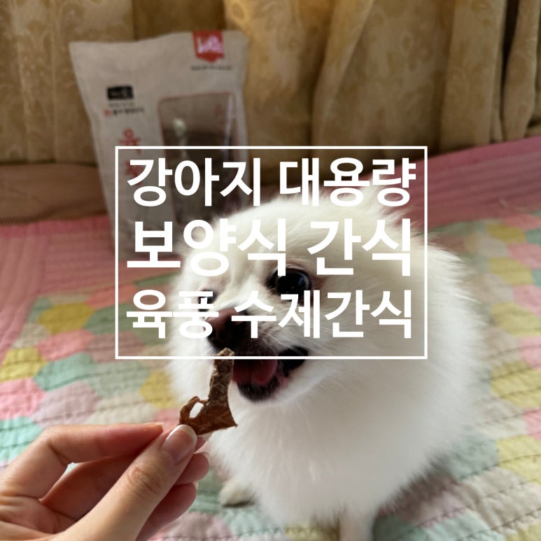 빅슬라이스 이미지