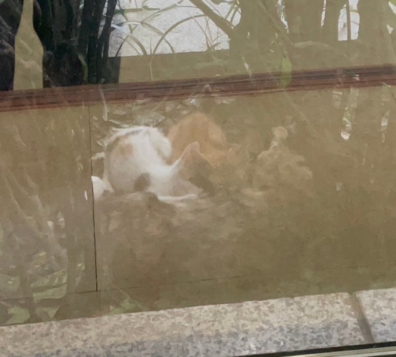 풍국면 부산국제금융센터점 이미지
