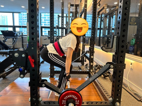 피브이짐 이미지