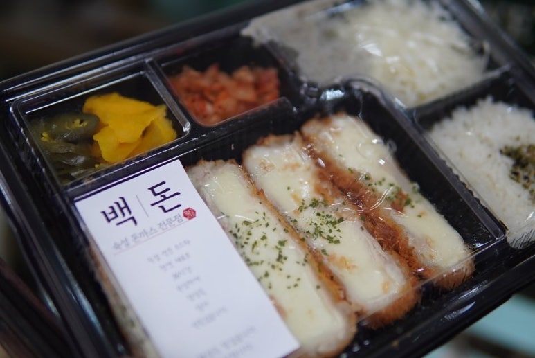 백돈 이미지