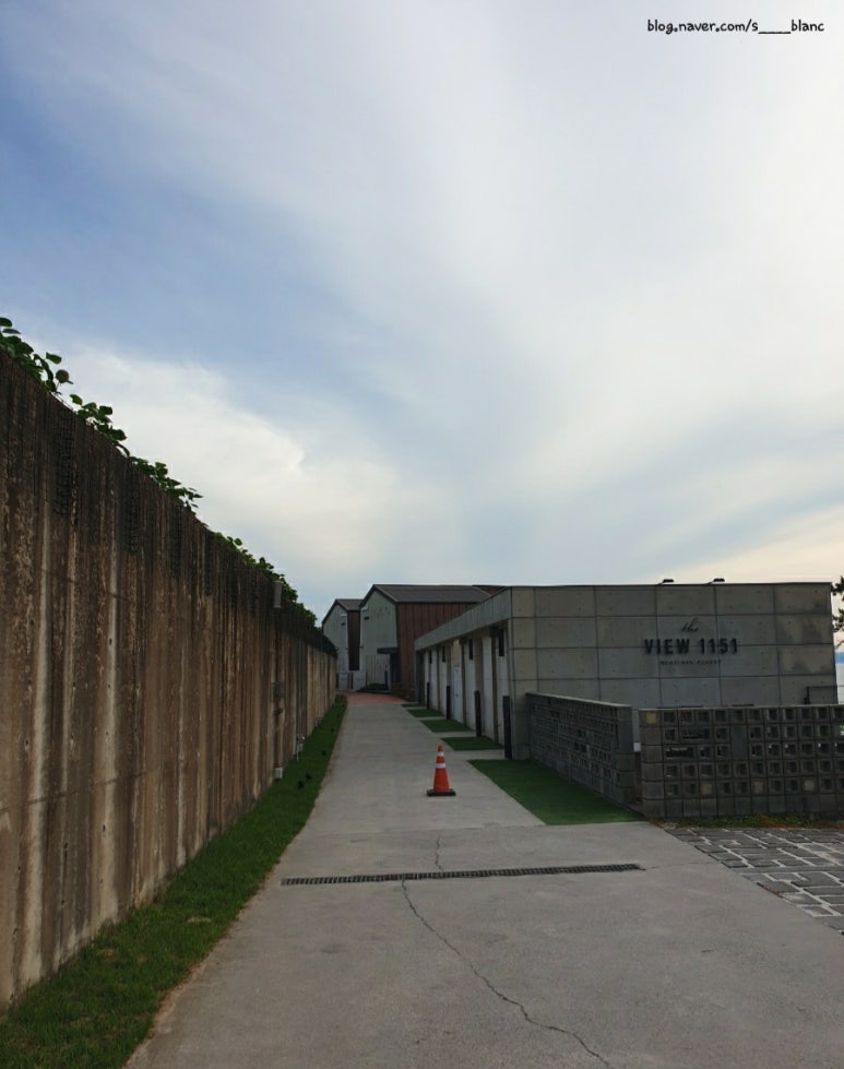 더뷰1151 이미지