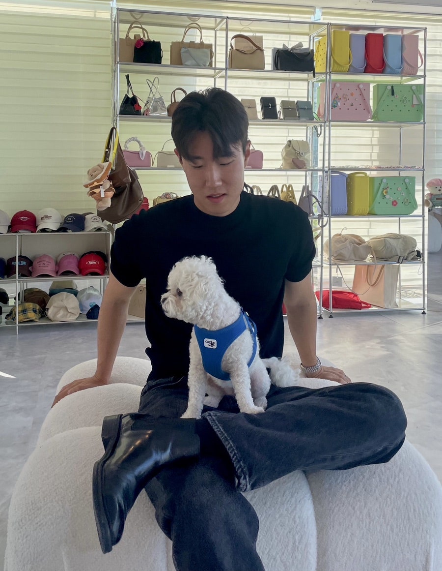 지즈루이스 이미지