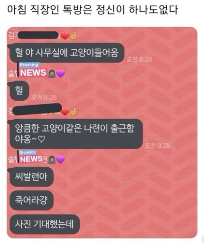 앙큼한고양이 이미지