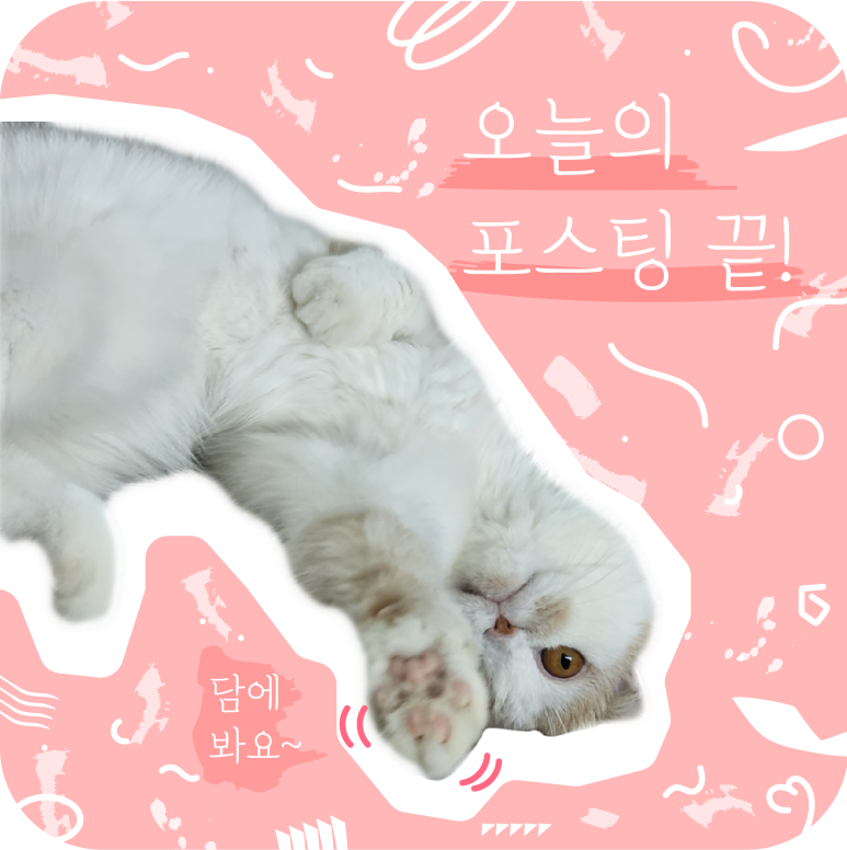 울진이모네 이미지