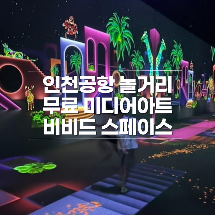 비비드미디어 이미지