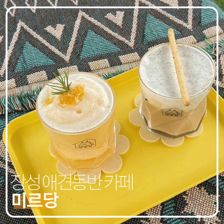 미르당 이미지