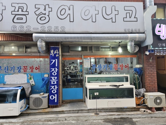 기장꼼장어 이미지