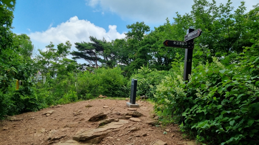 어비산 정상(829m) 이미지