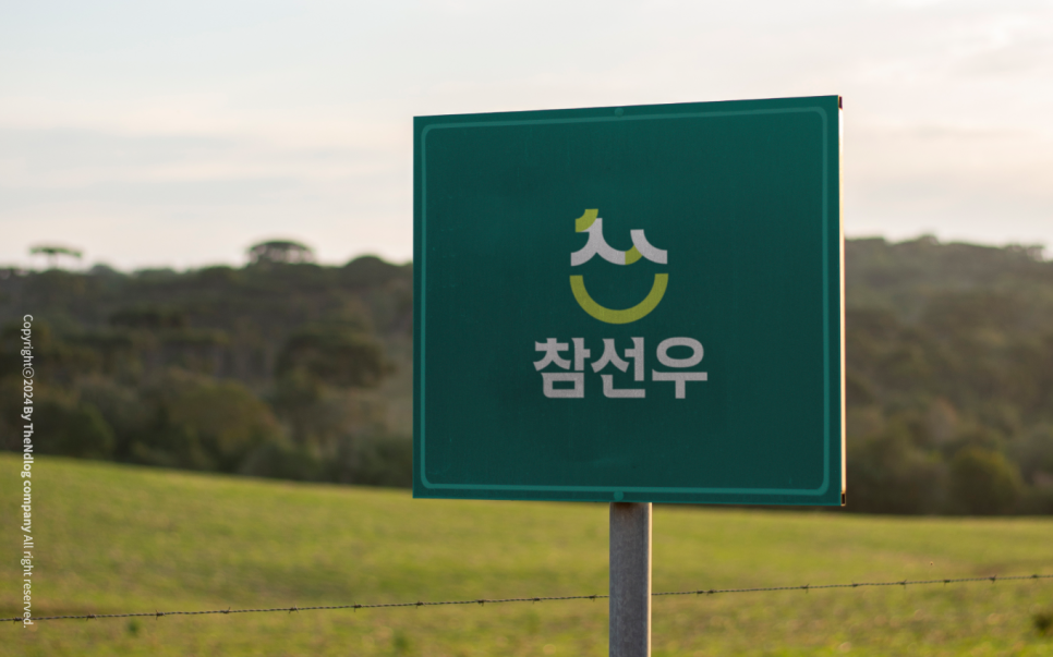 더앤디로그 이미지