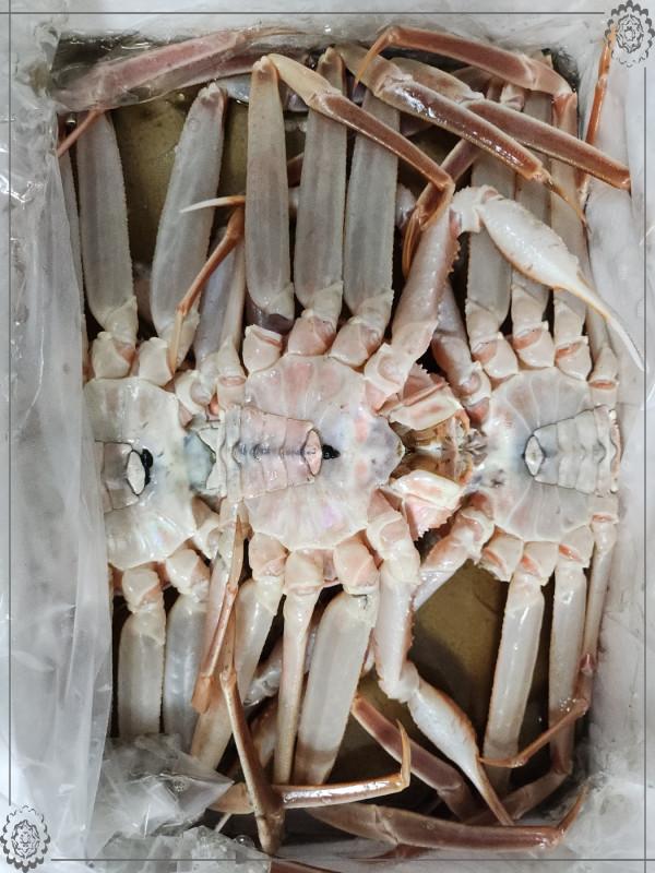 금성수산 이미지