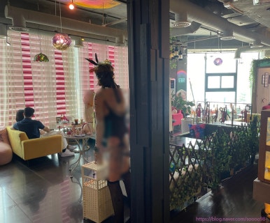 티핫 이미지