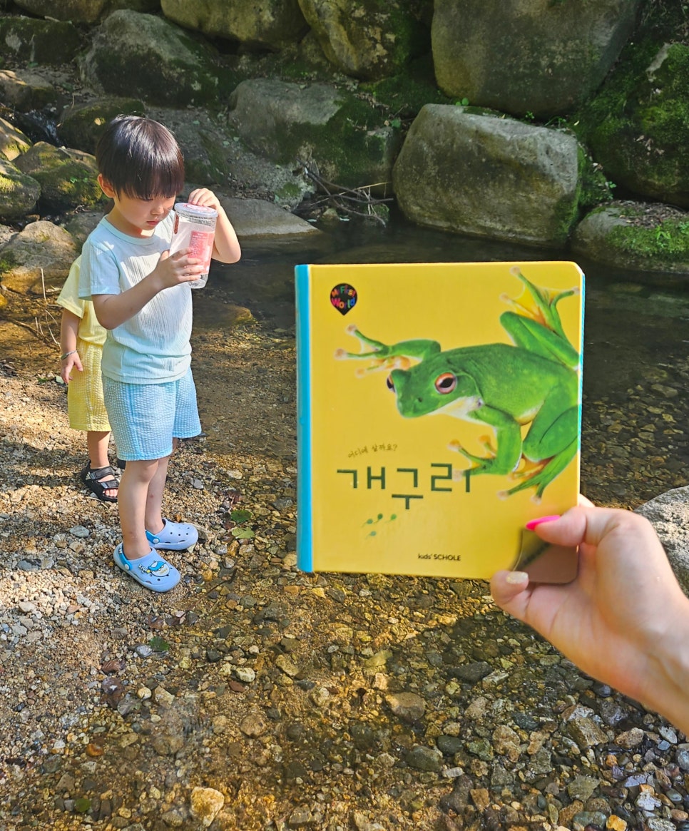 개구리화원 이미지